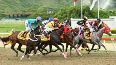 Hazaña en los 2.400 metros: Conozcan las yeguas venezolanas que ganaron el Clásico Internacional Presidente de la República (GI) Hazaña en los 2.400 metros: Conozcan las yeguas venezolanas que ganaron el Clásico Internacional Presidente de la República (GI)