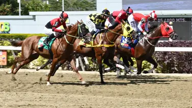 Estos ejemplares triplecoronados triunfaron el Clásico Internacional Presidente de al República (GI) Estos ejemplares triplecoronados triunfaron el Clásico Internacional Presidente de al República (GI)