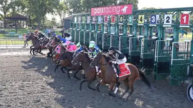 Castillo al cuadrado: Padre e hijo suman otra victoria juntos en Parx Racing Castillo al cuadrado: Padre e hijo suman otra victoria juntos en Parx Racing