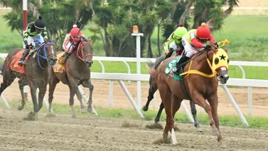 Mística en los 2.400 metros: El número que aterroriza a los rivales de Preposition Mística en los 2.400 metros: El número que aterroriza a los rivales de Preposition