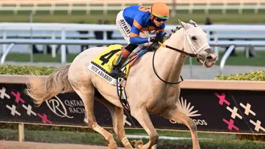 Oficial: Propietarios de White Abarrio demanda a la Breeders’ Cup 2025 por estos motivos Oficial: Propietarios de White Abarrio demanda a la Breeders’ Cup 2025 por estos motivos