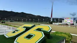 Conoce el balance de la actividad hípica en Venezuela en el primer trimestre del año 2026