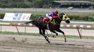 La anécdota de Johan Aranguren: El día que desafió los pronósticos en el Clásico Presidente de la República (GI) La anécdota de Johan Aranguren: El día que desafió los pronósticos en el Clásico Presidente de la República (GI)
