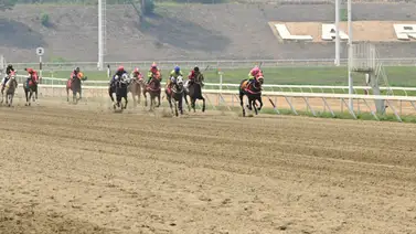 Jockey aprendiz ganador de 50 carreras en Estados Unidos puede triunfar con esta sorpresa en La Rinconada Jockey aprendiz ganador de 50 carreras en Estados Unidos puede triunfar con esta sorpresa en La Rinconada