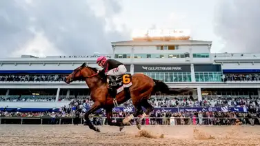 Pronósticos Gulfstream Park: picks gratis y el dato clave para el jueves 16 de abril Pronósticos Gulfstream Park: picks gratis y el dato clave para el jueves 16 de abril