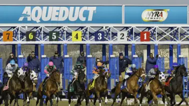 Este es el Pick 3 sugerido del jueves 16 de abril en Aqueduct, New York Este es el Pick 3 sugerido del jueves 16 de abril en Aqueduct, New York