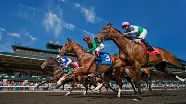Revisen sus favoritos: Estos son los hipódromos que más purasangres ganadores han generado en el meeting en Keeneland Revisen sus favoritos: Estos son los hipódromos que más purasangres ganadores han generado en el meeting en Keeneland