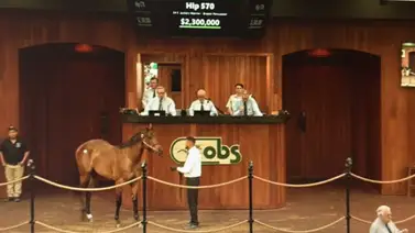 Hija de Jackie's Warrior recauda $2.3 millones durante el segundo día ventas en la Ocala Breeders' Sales Hija de Jackie's Warrior recauda $2.3 millones durante el segundo día ventas en la Ocala Breeders' Sales