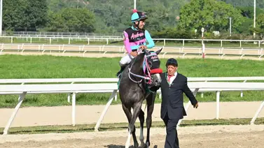 La estadística "en rojo" de Winter Wonderland para la cuarta carrera del domingo en La Rinconada La estadística "en rojo" de Winter Wonderland para la cuarta carrera del domingo en La Rinconada