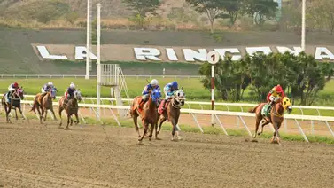 La Rinconada: Favoritos de la cátedra para el 5y6 Nacional de la reunión N°17 La Rinconada: Favoritos de la cátedra para el 5y6 Nacional de la reunión N°17