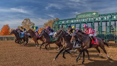 Pronósticos Keeneland: picks gratis y el dato clave para el jueves 16 de abril Pronósticos Keeneland: picks gratis y el dato clave para el jueves 16 de abril
