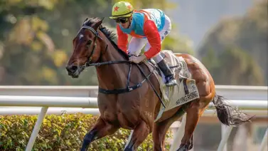 ¿Llegará a 20 consecutivas? Ka Ying Rising voló esta mañana para el Chairman's Sprint Prize (G1) ¿Llegará a 20 consecutivas? Ka Ying Rising voló esta mañana para el Chairman's Sprint Prize (G1)