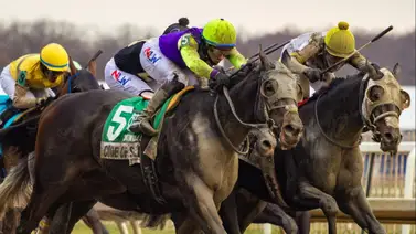 El Dahlia Stakes abre la jornada de cinco selectivas del sábado en Laurel Park El Dahlia Stakes abre la jornada de cinco selectivas del sábado en Laurel Park