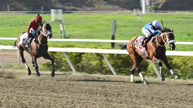 Voló en la pista: Entérate del ajuste de la gran opción de Gaceta Hípica para buscar el éxito en el 5y6 dominical Voló en la pista: Entérate del ajuste de la gran opción de Gaceta Hípica para buscar el éxito en el 5y6 dominical