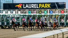Prince of Jerico a cortar la racha de segundon en el King T. Leatherbury Stakes en Laurel Park