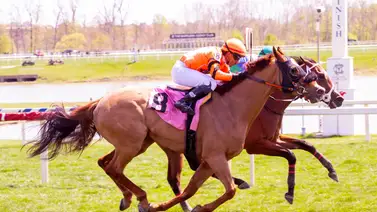 A.P.’s Girl a mantener su invicto en el Miss Weber City Stakes de Laurel Park A.P.’s Girl a mantener su invicto en el Miss Weber City Stakes de Laurel Park