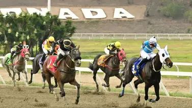 Bajo la lupa: Mira la yegua que acapara la atención de los expertos para el Clásico Blondy (GIII) Bajo la lupa: Mira la yegua que acapara la atención de los expertos para el Clásico Blondy (GIII)