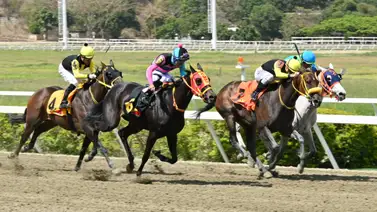 Atención: Entérate del ajuste contenido de este ejemplar que no está entre los favoritos y buscará un buen dividendo para la R17 Atención: Entérate del ajuste contenido de este ejemplar que no está entre los favoritos y buscará un buen dividendo para la R17