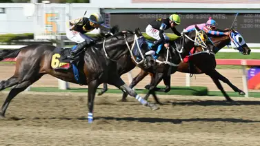 El datazo: A esta hora te damos la información más "regada" para el Clásico Internacional Presidente de la República (GI) El datazo: A esta hora te damos la información más "regada" para el Clásico Internacional Presidente de la República (GI)