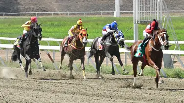 Conoce a los ejemplares con los mejores "Ratings" para sellar el cuadro del 5y6 en la R17 Conoce a los ejemplares con los mejores "Ratings" para sellar el cuadro del 5y6 en la R17