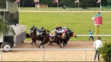 Datos de última hora para el Hipódromo Nacional de Valencia 18-4-2026 Datos de última hora para el Hipódromo Nacional de Valencia 18-4-2026