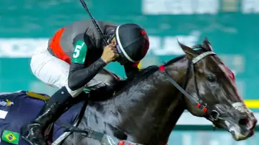 Obataye se alza como el Caballo del Año en Argentina 2025 Obataye se alza como el Caballo del Año en Argentina 2025