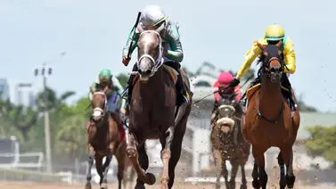 Samy Camacho gana una y pelea el Royal Palm Meet en Gulfstream Park Samy Camacho gana una y pelea el Royal Palm Meet en Gulfstream Park