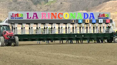 No estará en acción en la R17: Este ejemplar queda retirado de la tercera competencia por está razón No estará en acción en la R17: Este ejemplar queda retirado de la tercera competencia por está razón