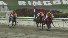 Clásico Blondy: El curioso origen del nombre de esta yegua que sorprendió con su victoria en La Rinconada