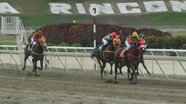 Clásico Blondy: El curioso origen del nombre de esta yegua que sorprendió con su victoria en La Rinconada Clásico Blondy: El curioso origen del nombre de esta yegua que sorprendió con su victoria en La Rinconada