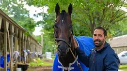 José Francisco D’Angelo busca celebrar un año más de vida con un Stakes en Keeneland