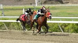 Alerta en la R17: Uno de los ejemplares rápidos quedó retirado para el ciclo no válido