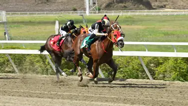 Alerta en la R17: Uno de los ejemplares rápidos quedó retirado para el ciclo no válido Alerta en la R17: Uno de los ejemplares rápidos quedó retirado para el ciclo no válido