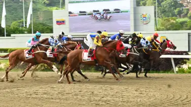 Este es el cuadro sugerido (baratico) del 5y6 del domingo en La Rinconada Este es el cuadro sugerido (baratico) del 5y6 del domingo en La Rinconada