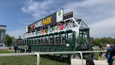 Taj Mahal gana de manera impresionante la preparatoria para el Preakness Stakes (G1) Taj Mahal gana de manera impresionante la preparatoria para el Preakness Stakes (G1)