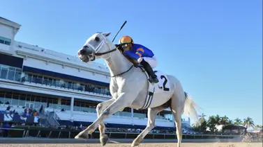 White Abarrio derrota a Sovereignty y Journalism en el Oaklawn Handicap G2 White Abarrio derrota a Sovereignty y Journalism en el Oaklawn Handicap G2