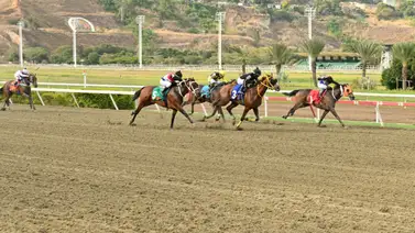 Estos son los retirados de la Reunión N°17 en el hipódromo La Rinconada para el domingo 19-4-2026 Estos son los retirados de la Reunión N°17 en el hipódromo La Rinconada para el domingo 19-4-2026