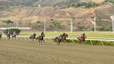 Victoreado, Rayo Láser y Viva La Paz volverán a sonar en La Rinconada Victoreado, Rayo Láser y Viva La Paz volverán a sonar en La Rinconada