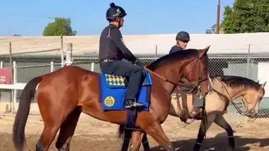 Mira como luce el potro de los $10.5 millones en su primer galope sobre pista de Santa Anita Park Mira como luce el potro de los $10.5 millones en su primer galope sobre pista de Santa Anita Park