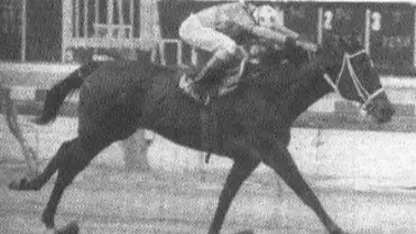 ¿La mejor millera de la historia? A 39 años del nacimiento de una leyenda que humilló a los machos ¿La mejor millera de la historia? A 39 años del nacimiento de una leyenda que humilló a los machos