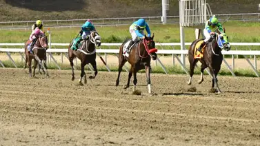 ¿La base del 5y6? Una campeona clásica regresa en la prueba más difícil de la tarde ¿La base del 5y6? Una campeona clásica regresa en la prueba más difícil de la tarde
