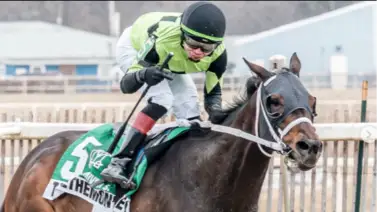 No perdonaron a este jinete por conducción “negligente” sobre la yegua Bailout Billy en Parx Racing No perdonaron a este jinete por conducción “negligente” sobre la yegua Bailout Billy en Parx Racing