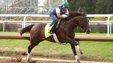 Este es el plan maestro de Sovereignty según su entrenador para la temporada Este es el plan maestro de Sovereignty según su entrenador para la temporada