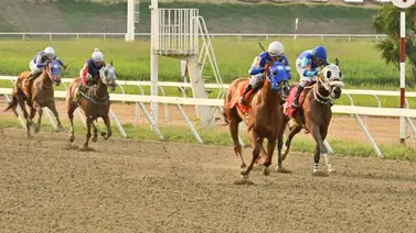 El fenómeno de los números: La estadística que todo aficionado debe conocer en La Rinconada El fenómeno de los números: La estadística que todo aficionado debe conocer en La Rinconada