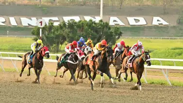 Mucha atención: Se complica el pronóstico por el retiro de una de las grandes aspirantes para el Clásico Blondy (GIII) Mucha atención: Se complica el pronóstico por el retiro de una de las grandes aspirantes para el Clásico Blondy (GIII)