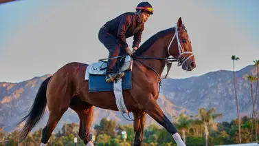 Este es el futuro de Journalism tras su derrota en el Oaklawn Handicap (G2) Este es el futuro de Journalism tras su derrota en el Oaklawn Handicap (G2)