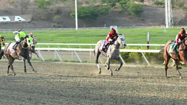 Herencia de victoria: Un nuevo hijo del semental estelar hará su estreno en la R18 con buenos trabajos previos Herencia de victoria: Un nuevo hijo del semental estelar hará su estreno en la R18 con buenos trabajos previos