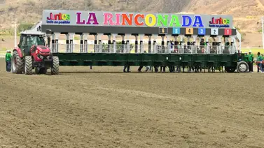 La familia es primero: El inusual reto de tres hermanos en la cartelera dominical de Coche La familia es primero: El inusual reto de tres hermanos en la cartelera dominical de Coche