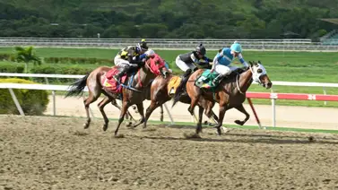 Estará listo para ganar: El impacto del regreso de este ejemplar luego de un largo descanso para estar presente en la R18 Estará listo para ganar: El impacto del regreso de este ejemplar luego de un largo descanso para estar presente en la R18