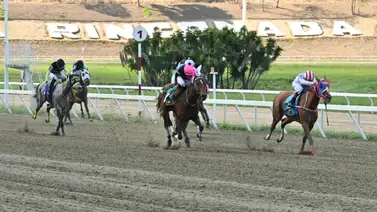 Poder en la pista: El nombre de un reconocido semental venezolano que buscará la gloria en la Copa Negresco Poder en la pista: El nombre de un reconocido semental venezolano que buscará la gloria en la Copa Negresco